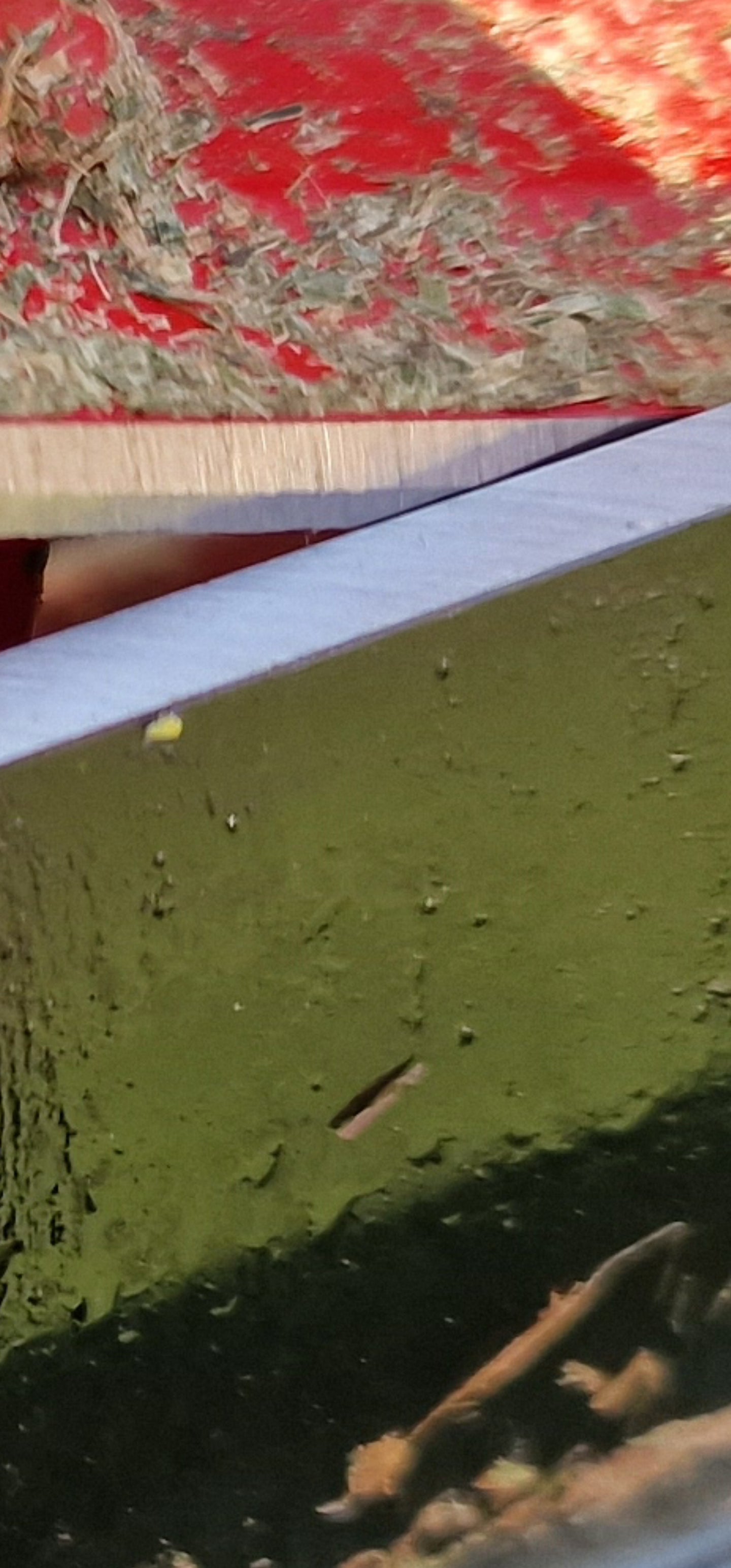 Allett Stirling schleifservice