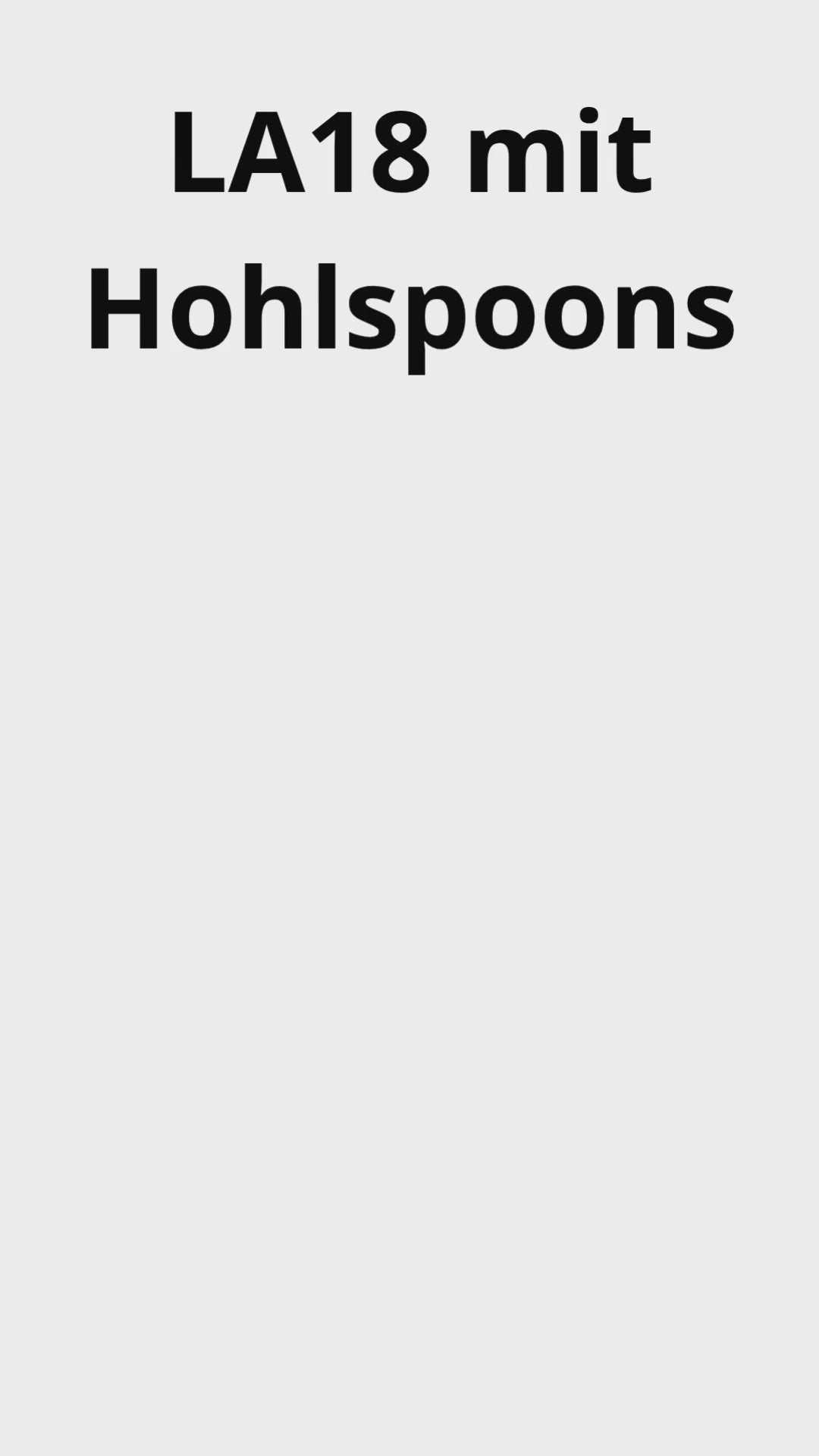 LA18 Aerifizierer Incl. Versand